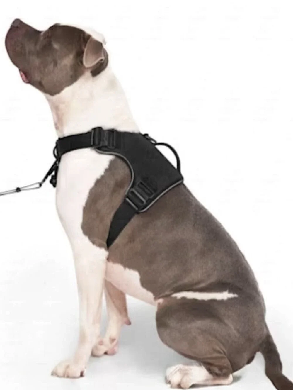 NWOT Canada Pooch Complete Control Harness Vest - Reflective Trim